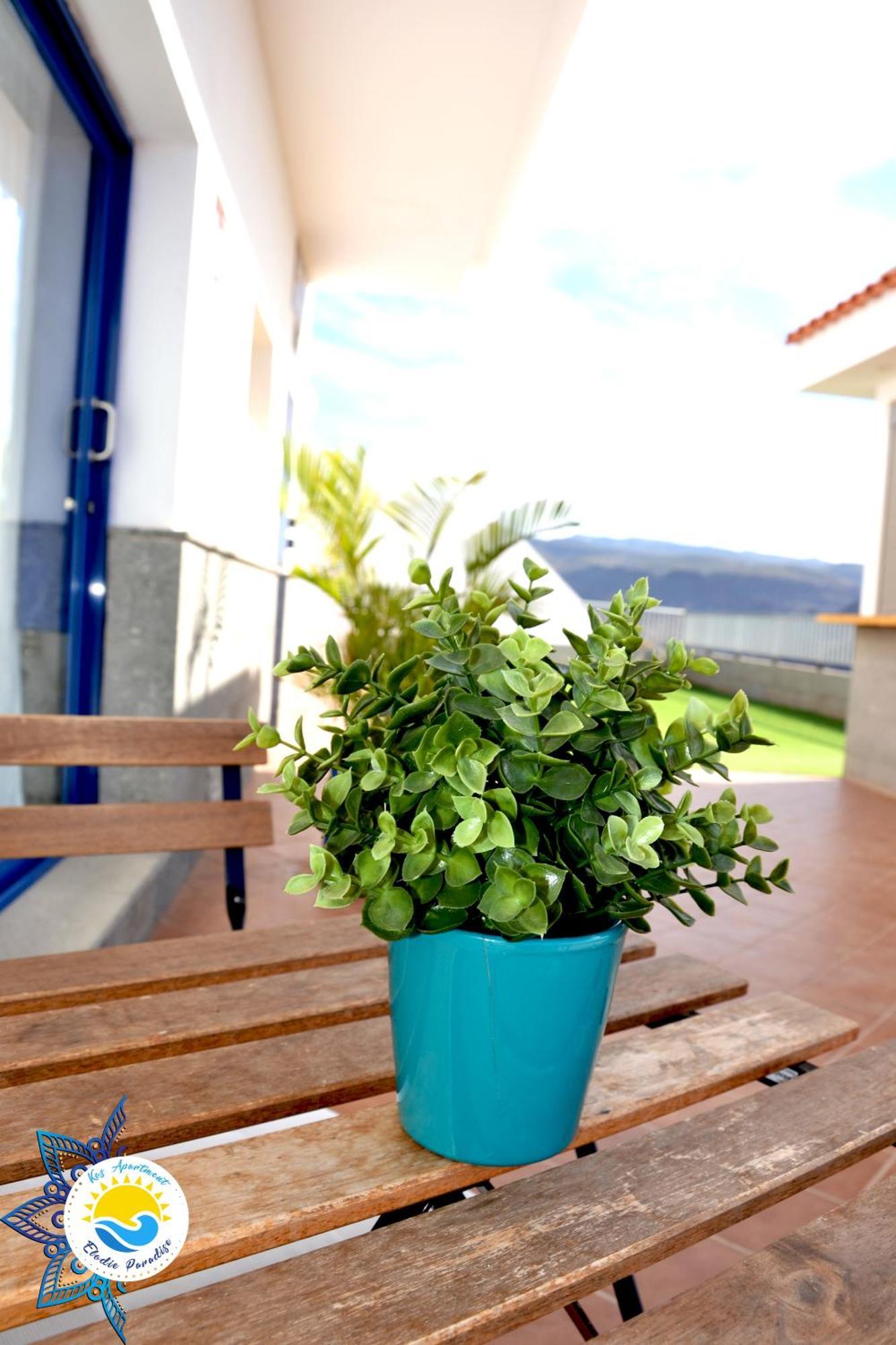 Kos Apartment - Elodie Paradise Mogán Exteriör bild